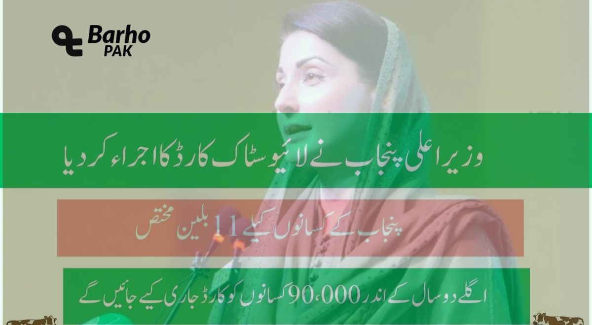 CM Punjab Launched Livestock Card Scheme 2025 to Empower Farmers