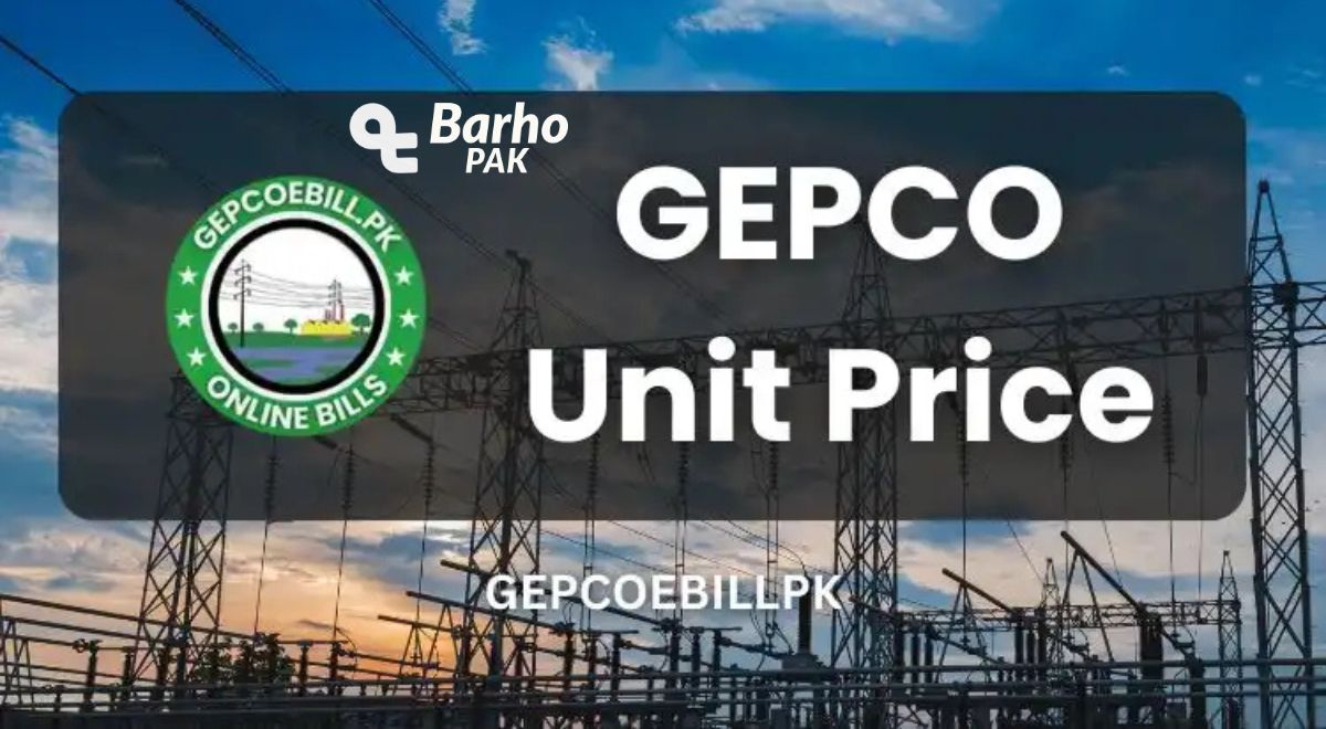 NTS GEPCO Roll No Slip 2025 Download By CNIC