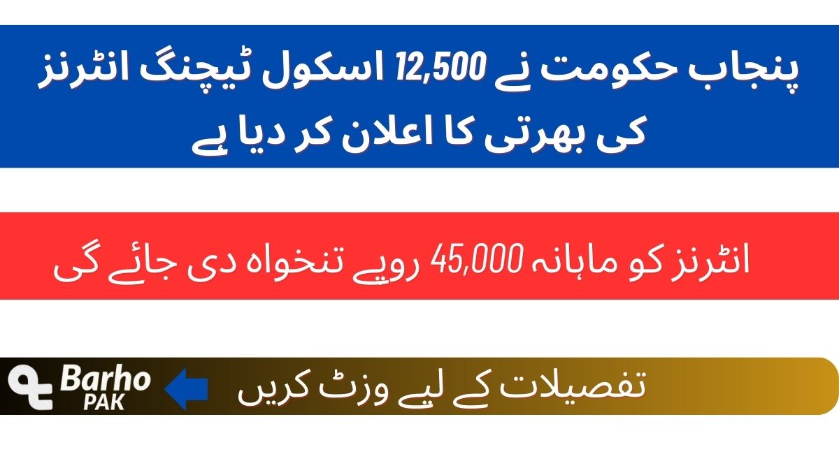 STI Jobs 2025 Apply Online , Last Date & Application Form