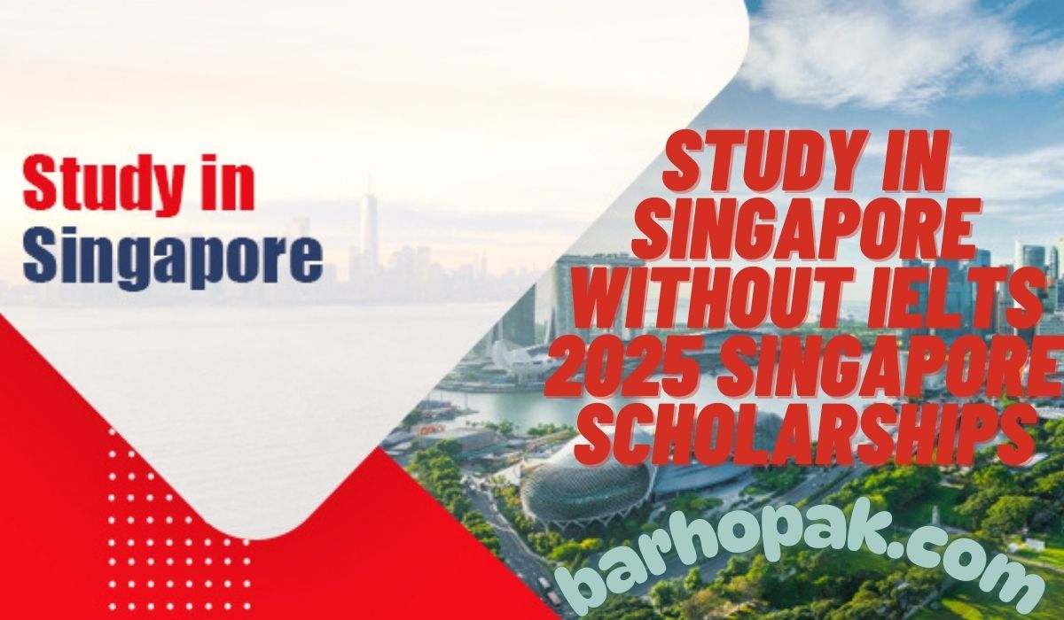 Study in Singapore Without IELTS 2025 Singapore Scholarships